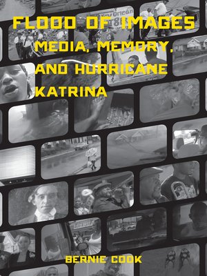 cover image of Flood of Images